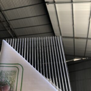 polycarbonate dạng rỗng 5mm trắng trong